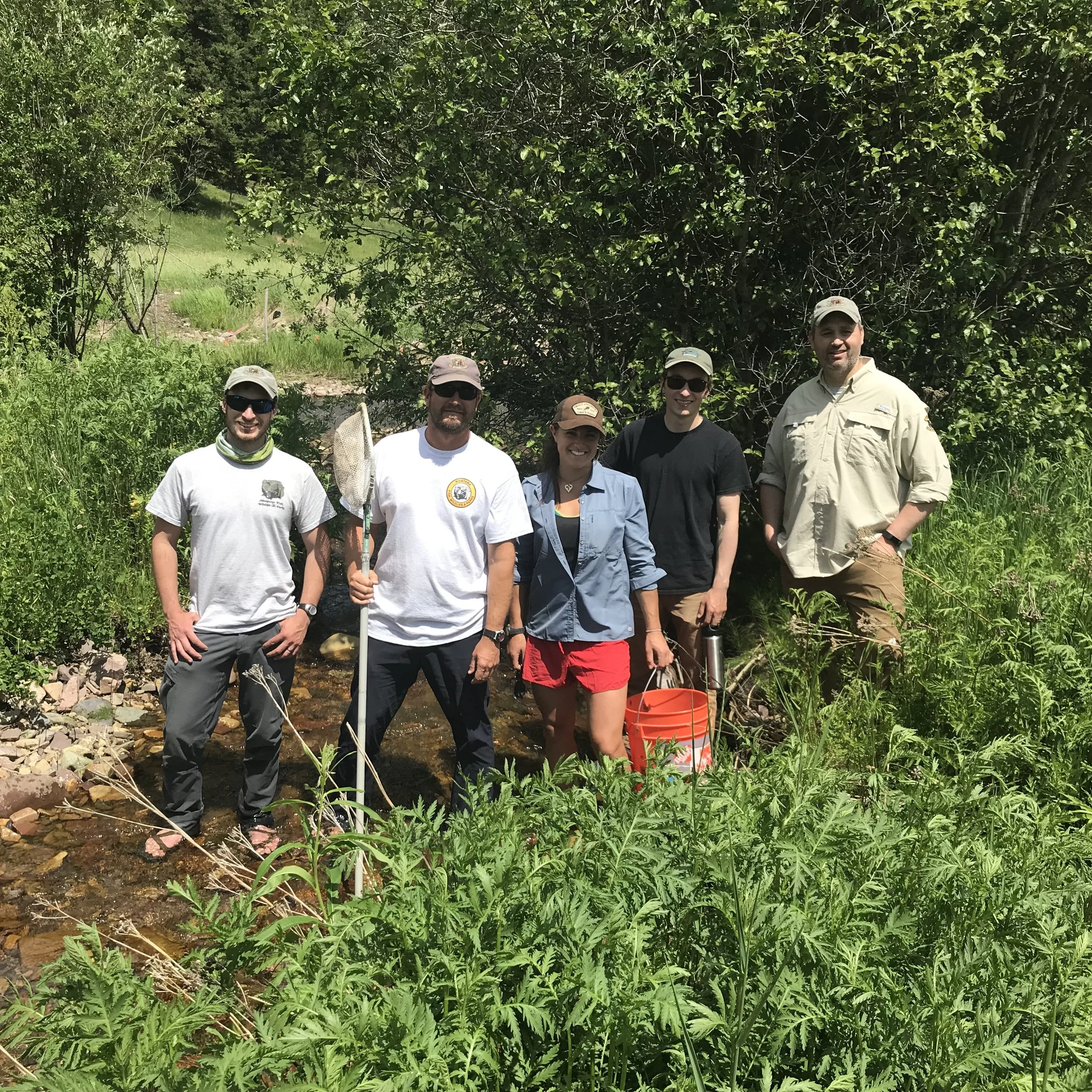 Though we work on private land, most projects have public value.   When this is the case, agency specialists and conservation groups can assist with the project.