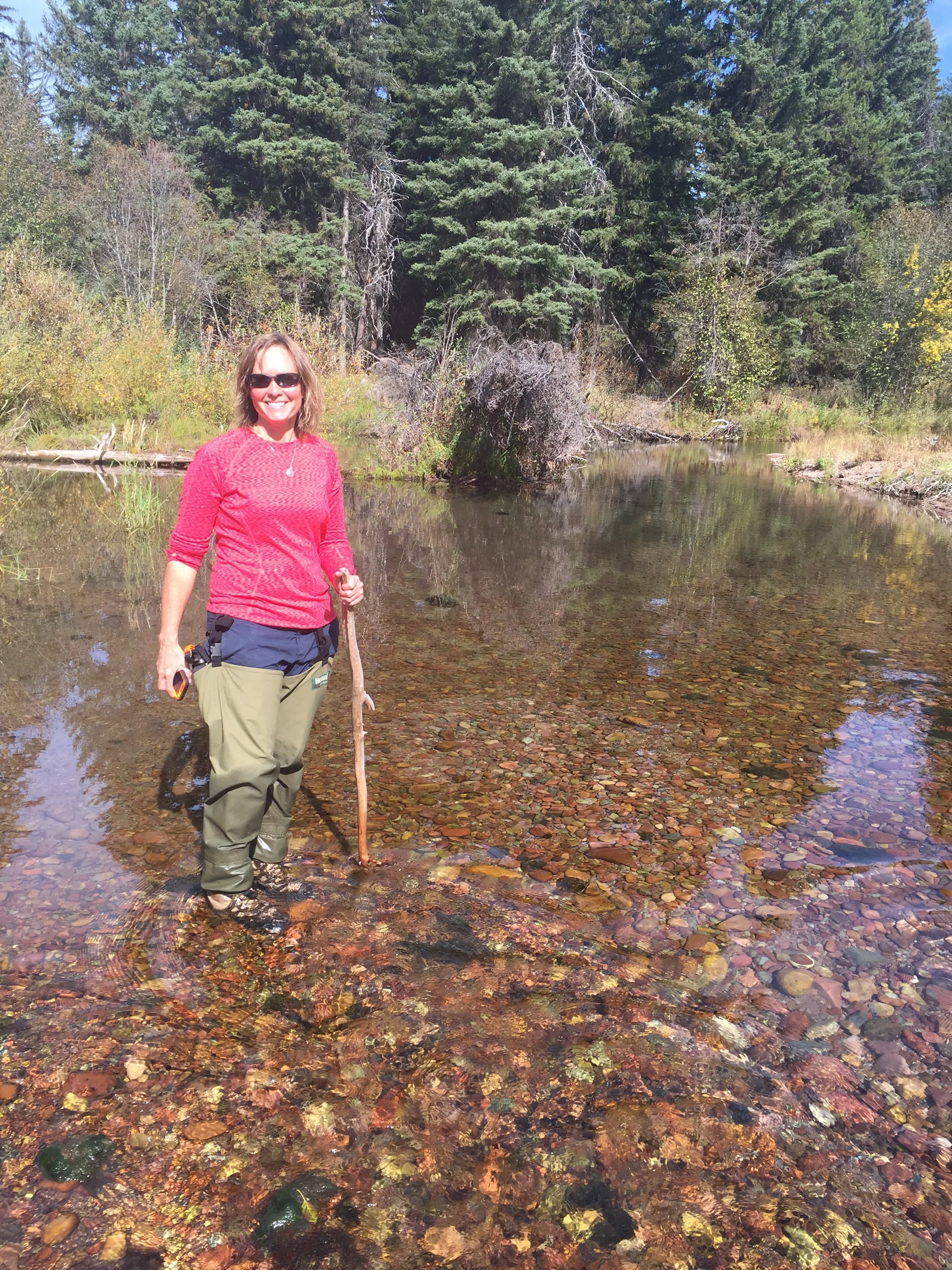 Assessments often include spawning-related surveys, including redd counts and assessments of spawning site quality..