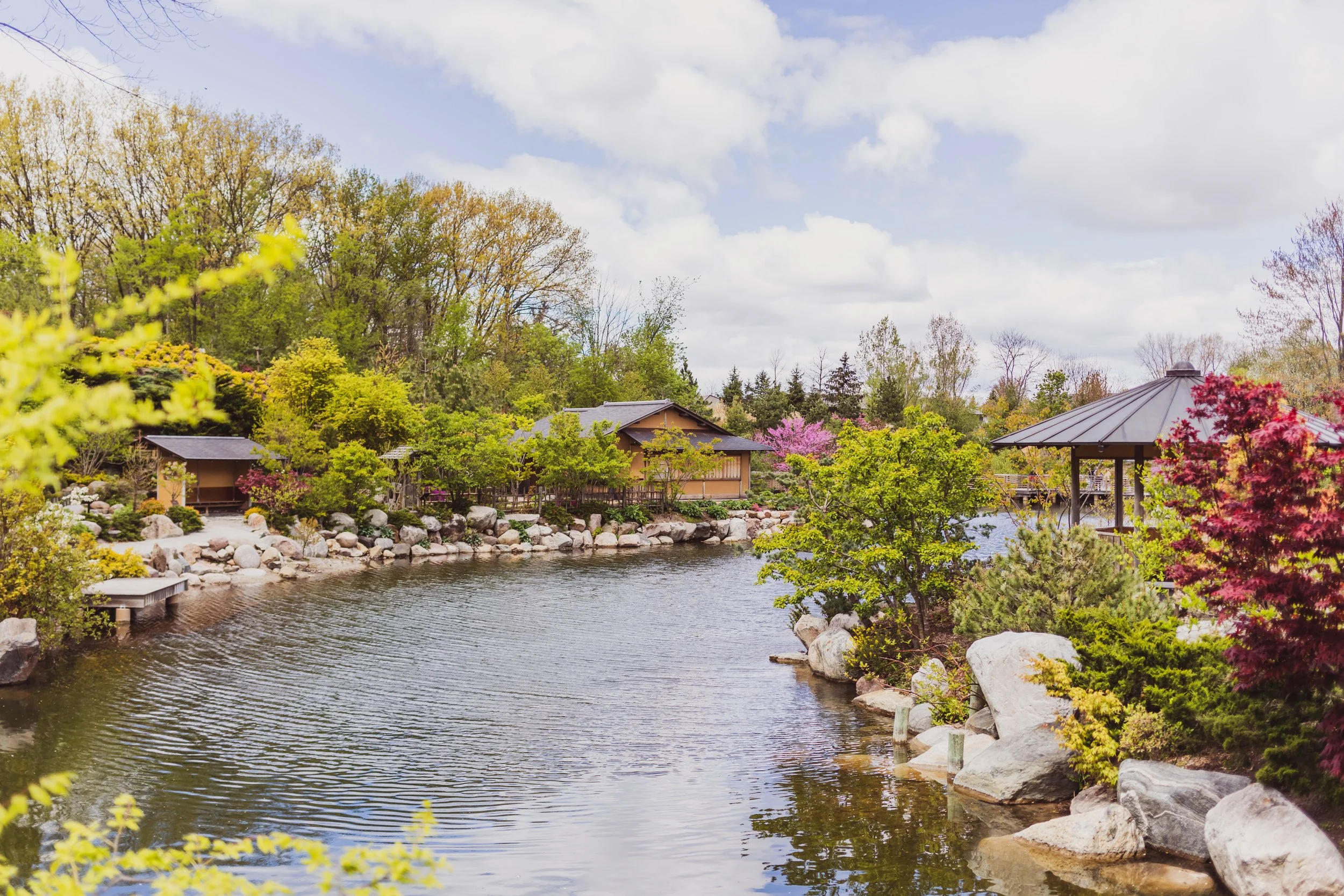 Spring In Detroit Springtime Blossom Viewing: Where to Spot Cherry Blossoms + More in ...