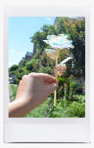 Glass Flower.jpg