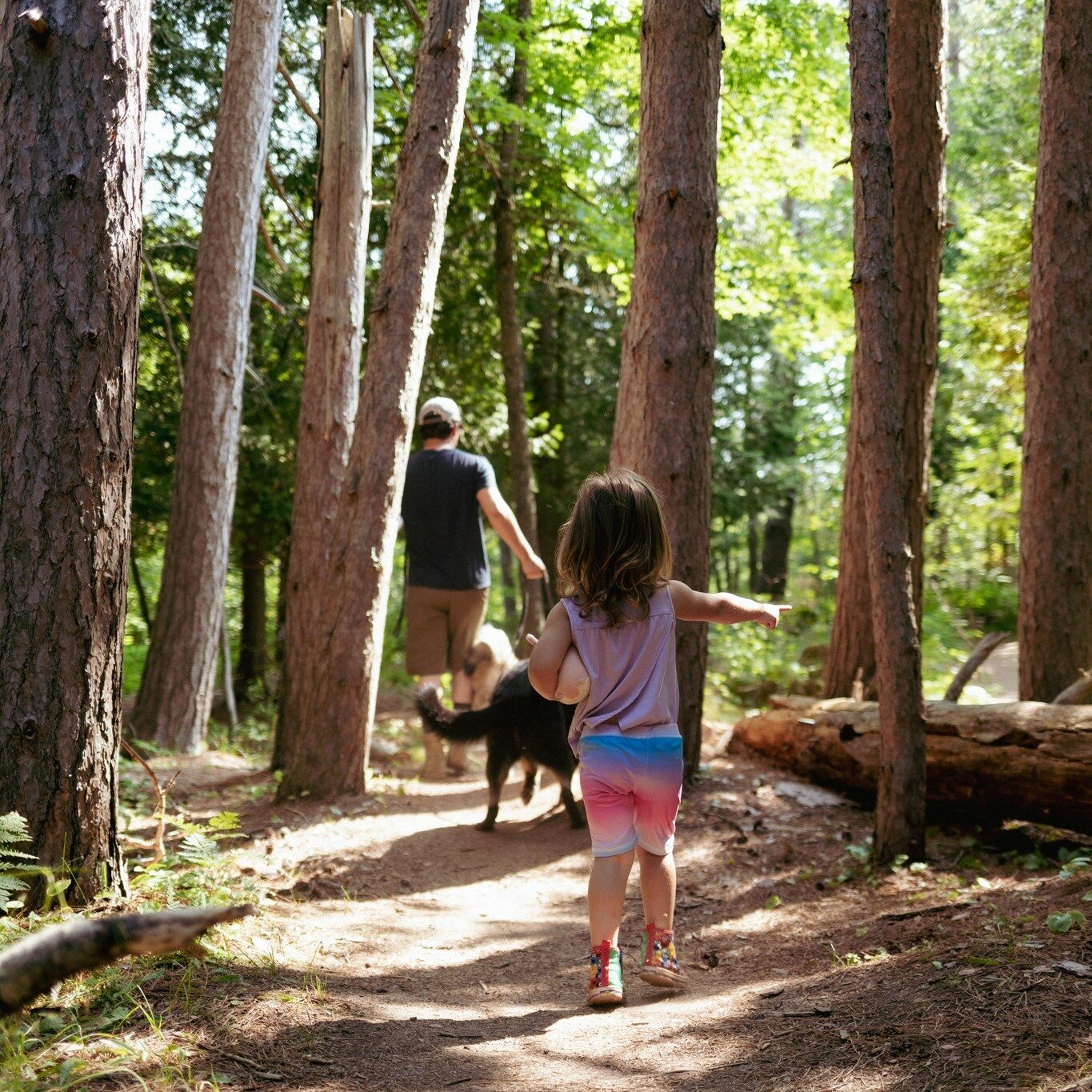 5 Must Do Kid-Friendly Hikes in the Keweenaw!

Let's go hiking! There is such a wide array of hiking level options here in the Keweenaw and it has been so fun to explore them all. Today I'm sharing some short and easy trails to explore with kids. We 