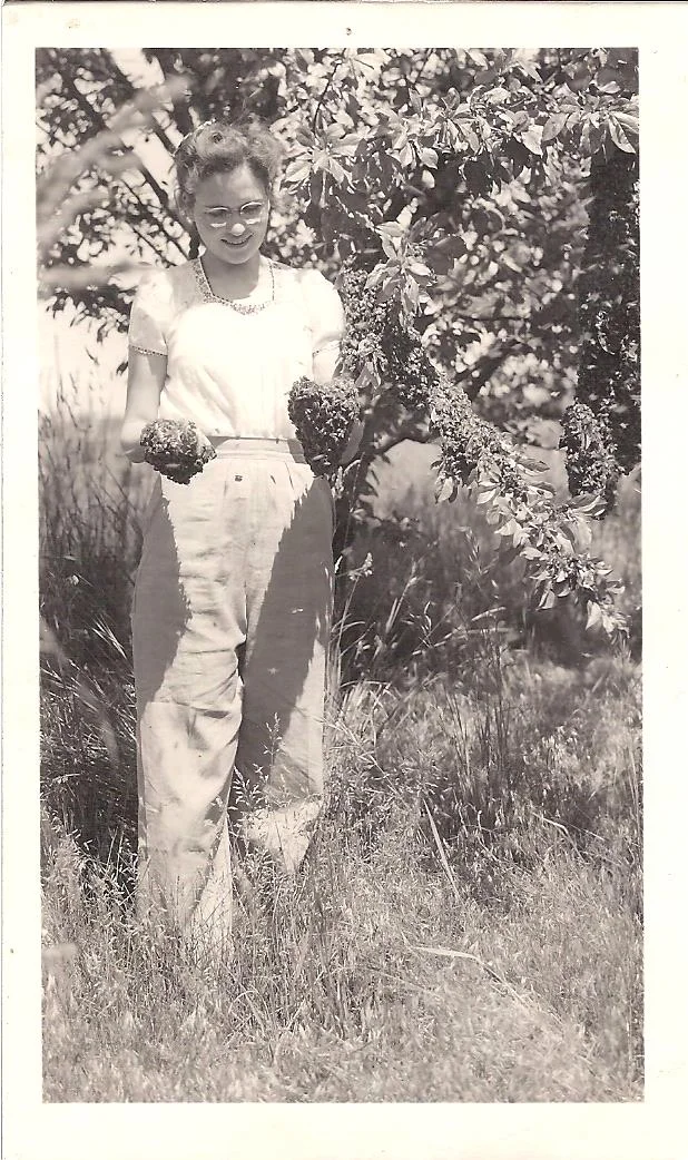 Frances with bee swarm