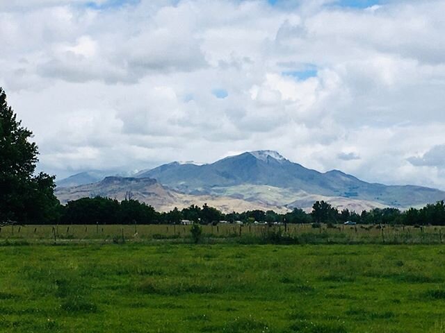 Snow on the Butte in June? Why not, it&rsquo;s Idaho. 🙂⛰❄️🌱☀️
.
And we sent the first batch of steers to the processor today.
There&rsquo;s a half beef or so still unspoken for, and we&rsquo;ll be sending more throughout the summer and fall. 
Check