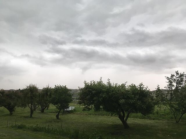 Big storm rolling in! We&rsquo;re canceling the tour that was scheduled for today.
.
Stay safe! Next tour is scheduled for Saturday, June 27. Hope to see you then!