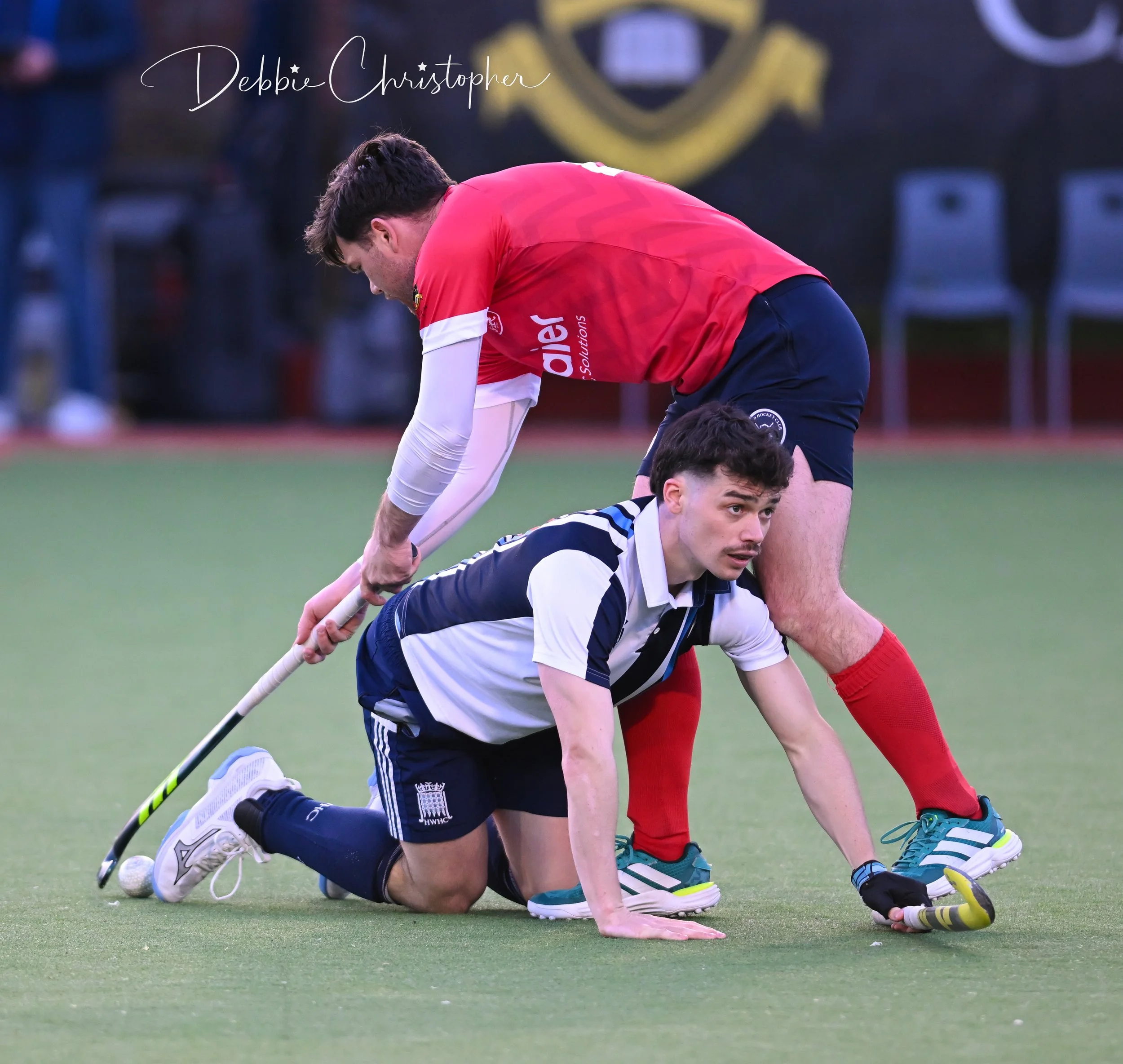 NZ8_4931.jpg