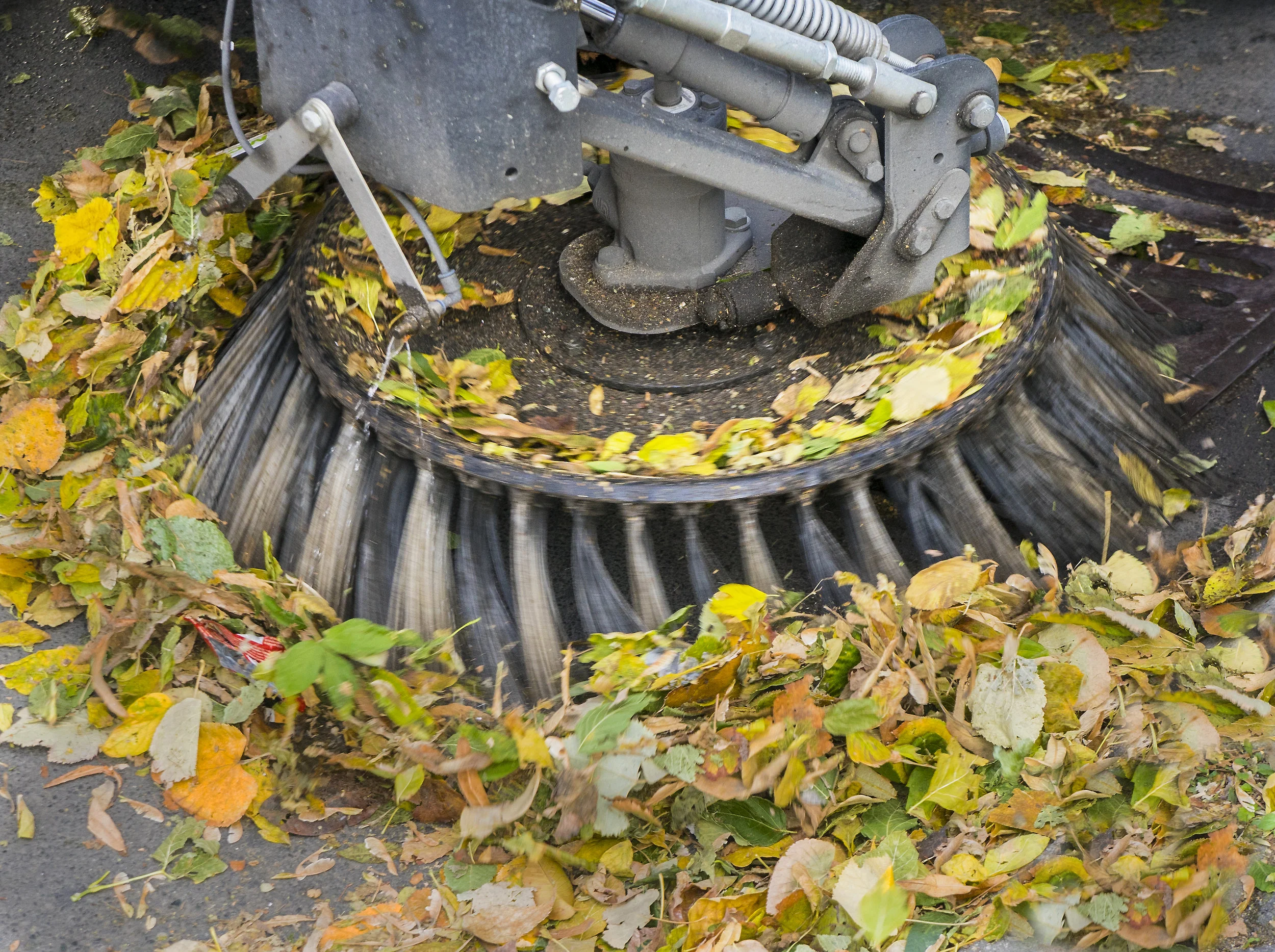 Street Cleaning in Ward 5