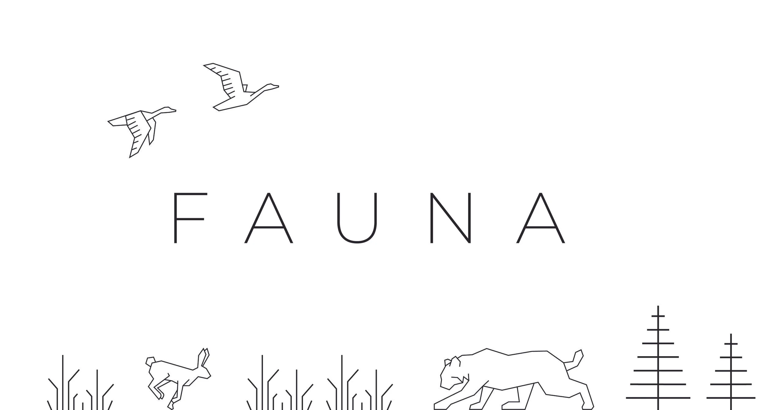 FAUNA VISUAL-03.jpg
