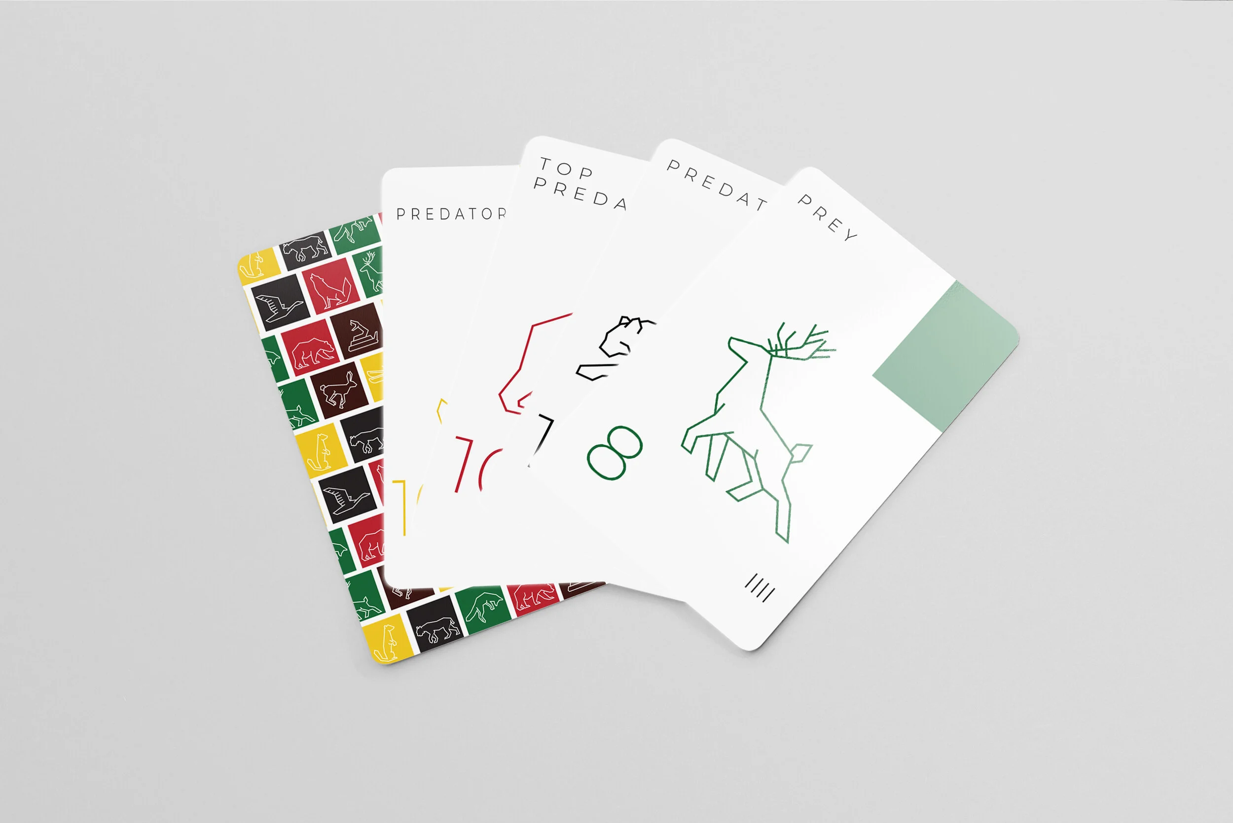 CARDS MOCKUP.jpg