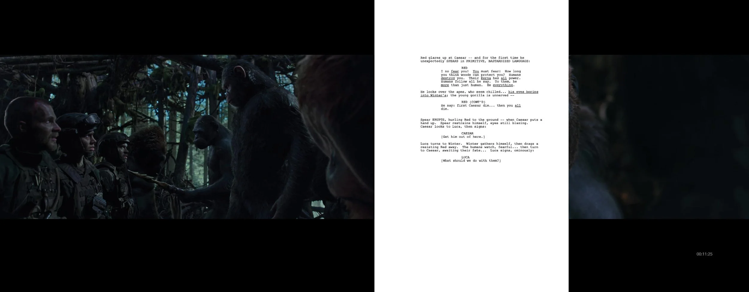 PDF for Website 11:27:20222.jpg