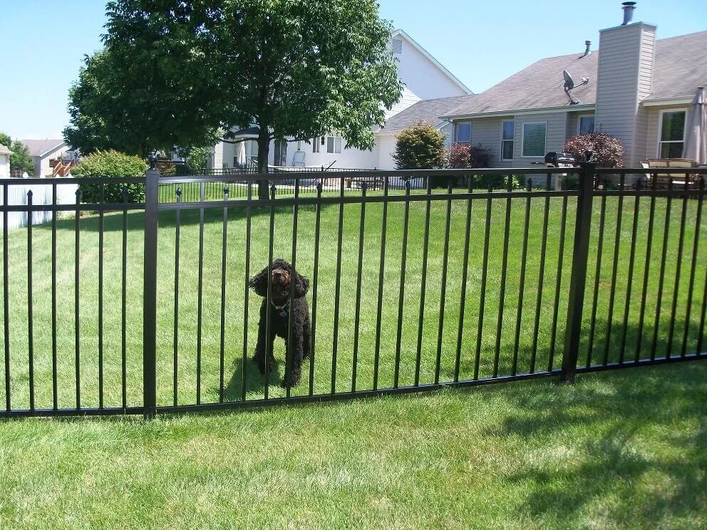 AFS-Commercial-Aluminum-Fences-1 (1).jpg