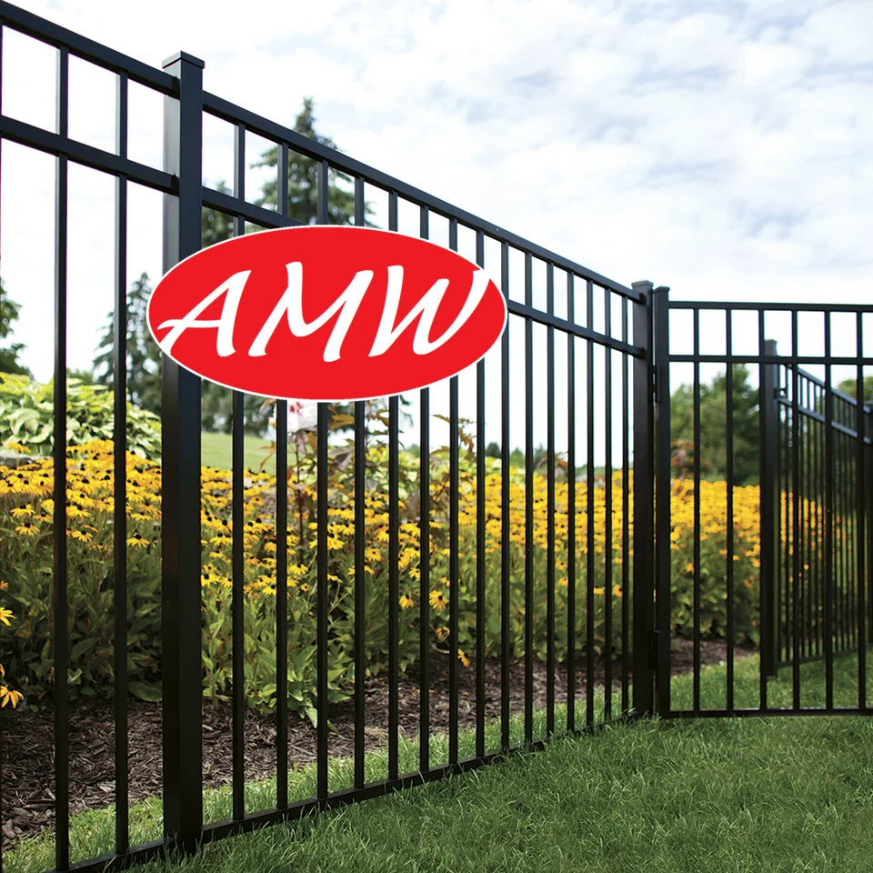 AMW with fence in background for profile.jpg