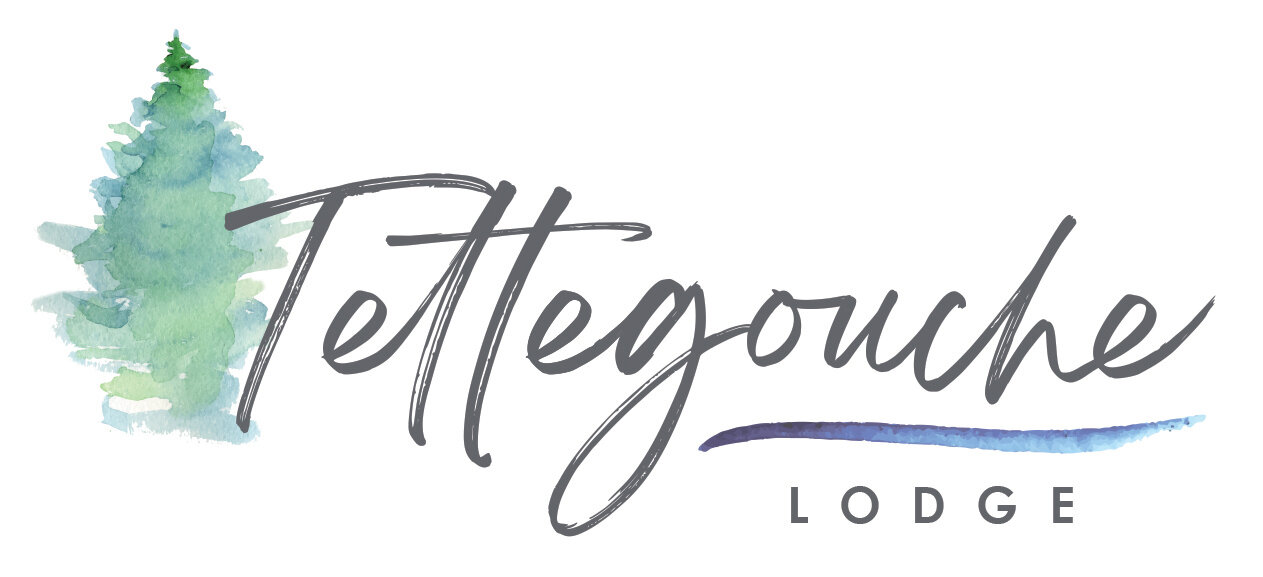Tettegouche_lodge_long.jpeg