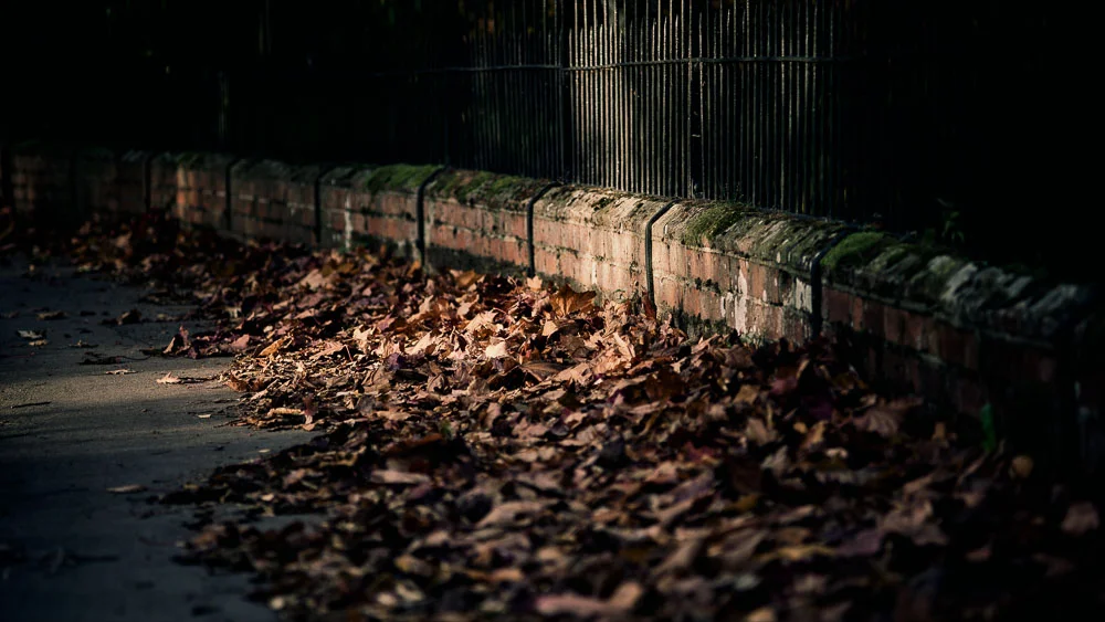 Autumn Leaves, Castle Street