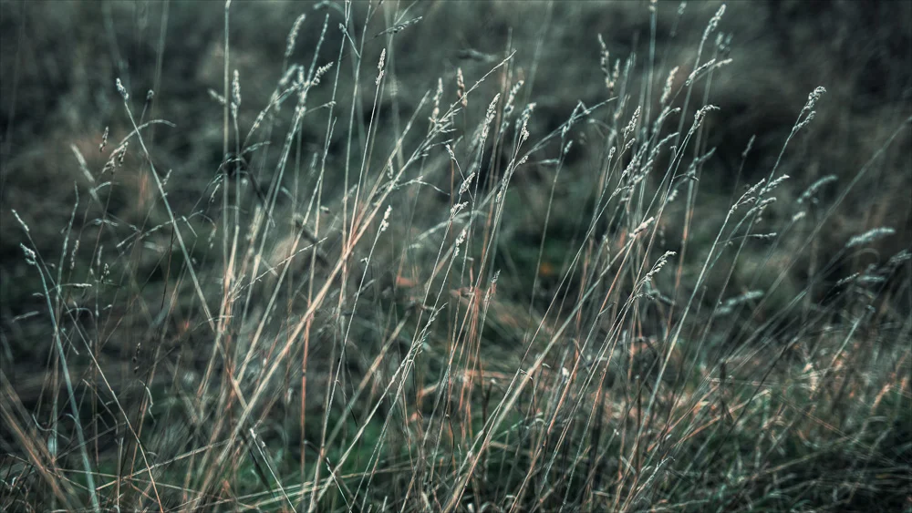 dull-sunday-1.jpg