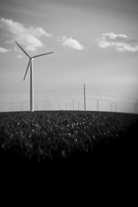 Wind_8455.jpg