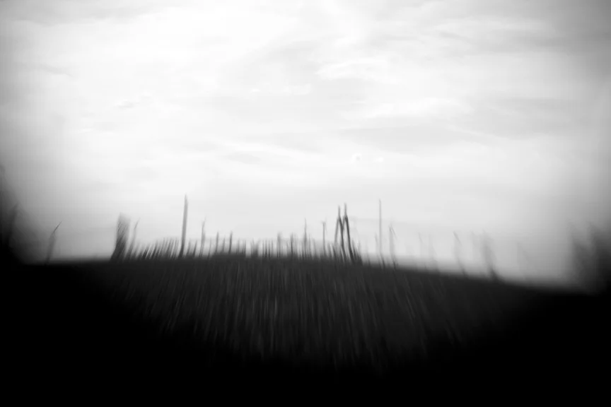 Wind_8474.jpg