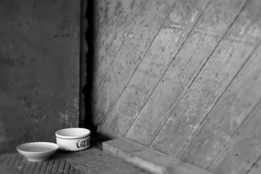 Photo_Lunch.jpg