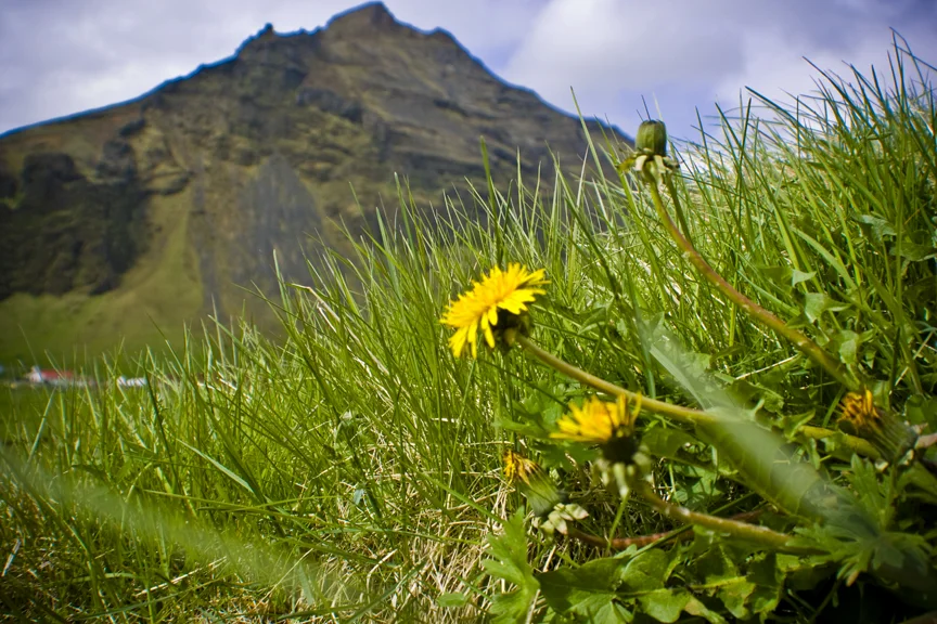 Iceland_4090.jpg