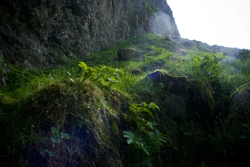 Iceland_4359.jpg