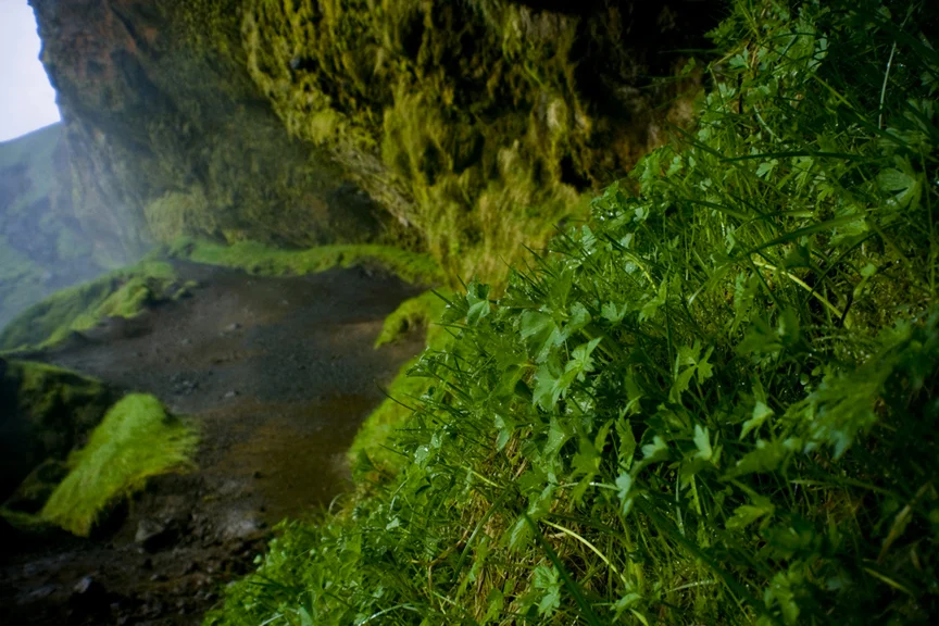 Iceland_4376.jpg