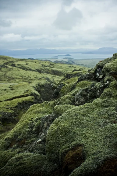 Iceland_4632.jpg
