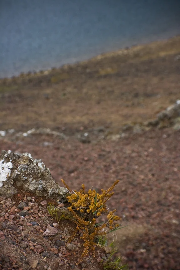 Iceland_5336.jpg