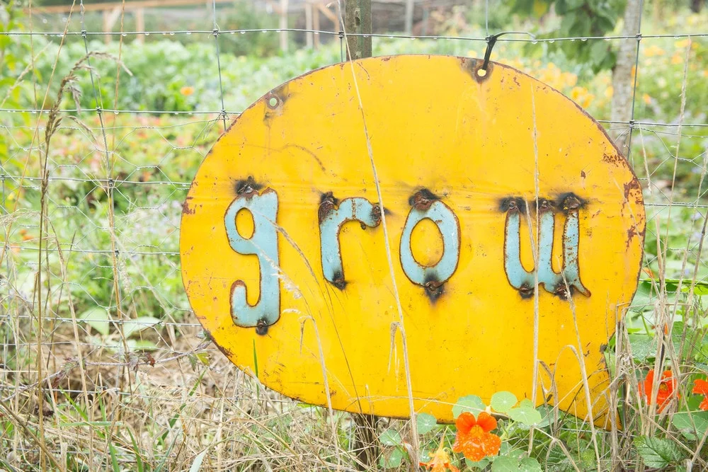 grow-min.jpg