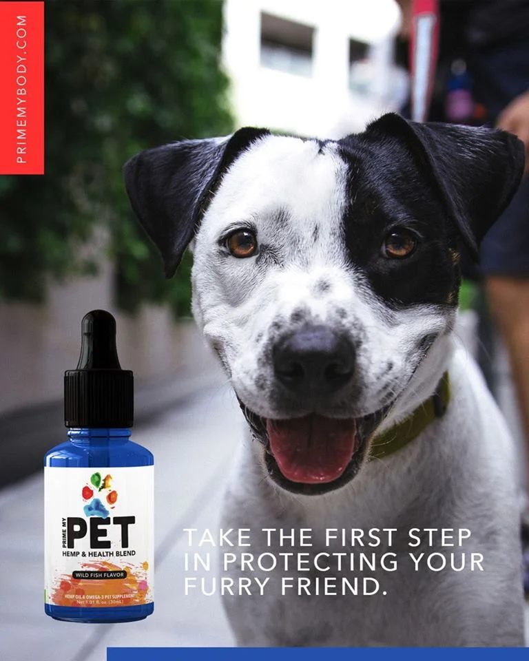 Pet.jpg
