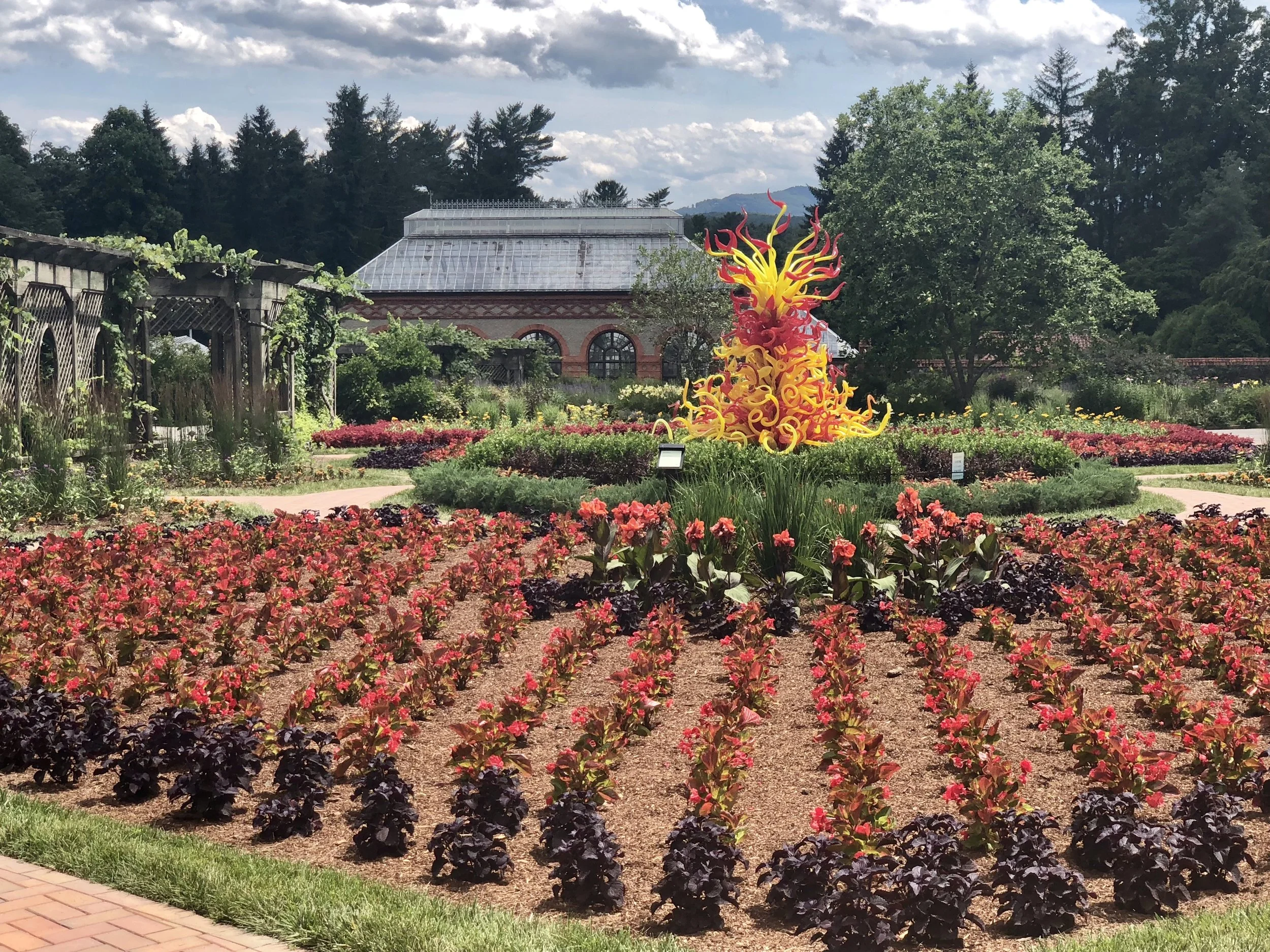 Chihuly Exhibit at Biltmore Estate Conservatory.jpg