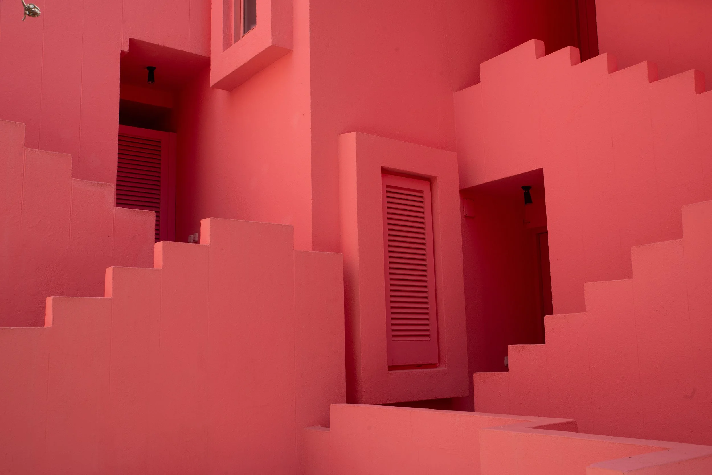 Suter Calpe C-0030.jpg