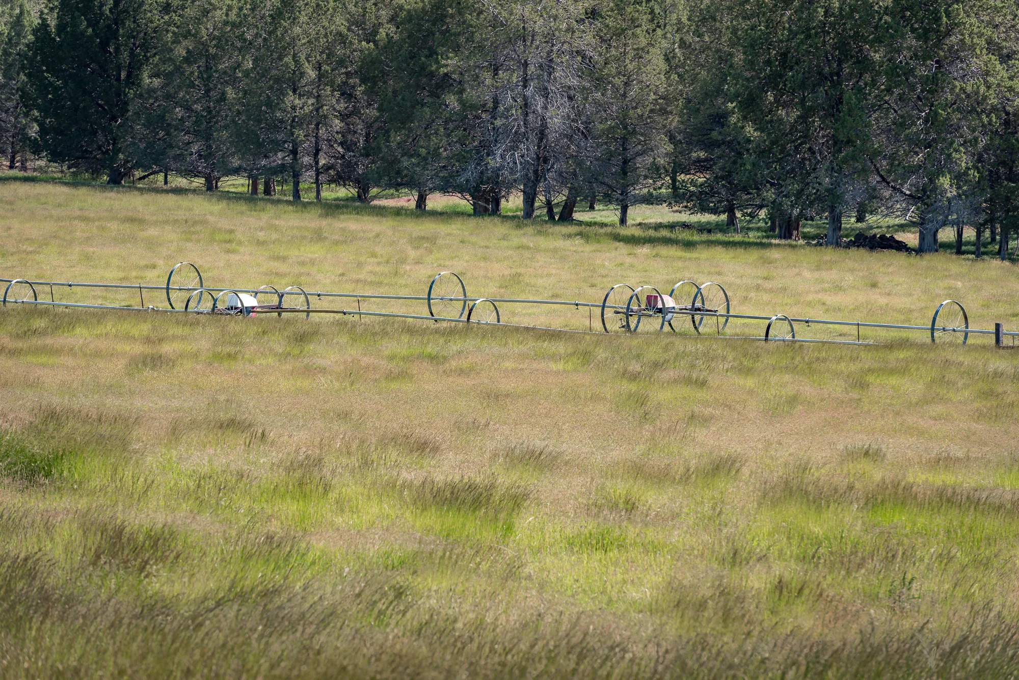 WildcatRidgeRanch-BGP-5894.jpg