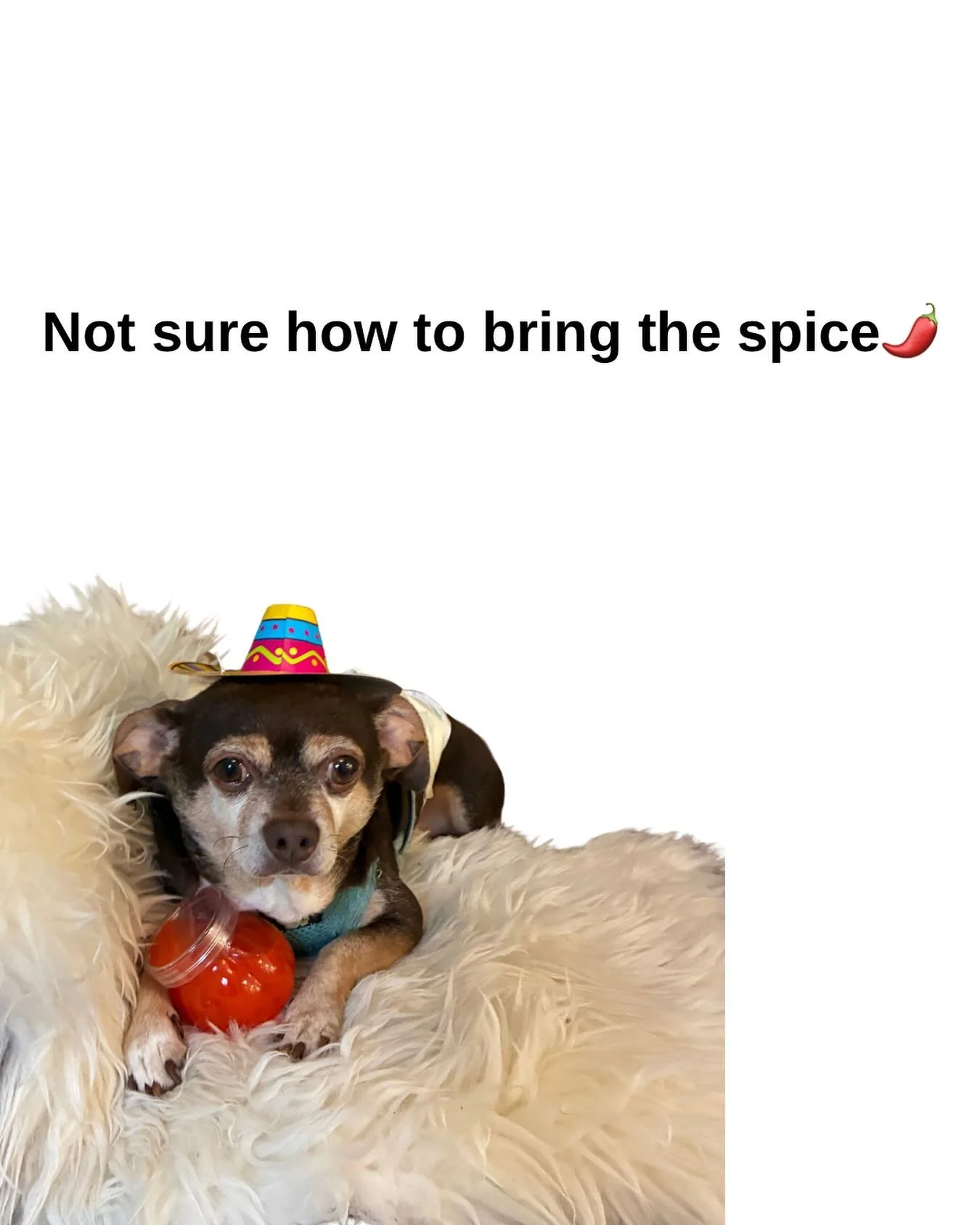 Want to feel comfortable, pain free and positive about your sex life??!!
One of my favorite things to partner with folks on is helping them learn their bodies, nervous system, and sensory needs for happiness with sex!
#pelvichealth #sexualhealth