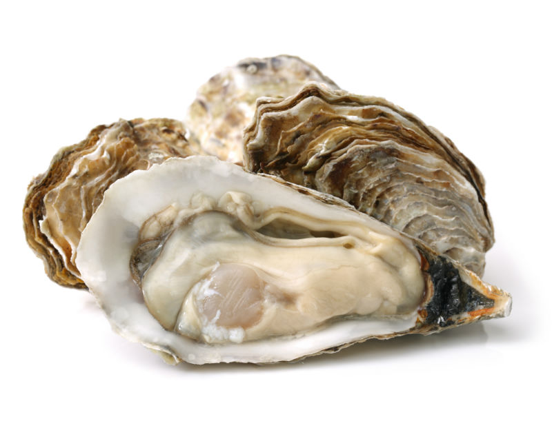 The-world-is-my-oyster.jpg
