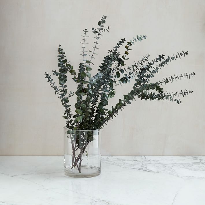 eucalyptus-bundle-baby-o.jpg
