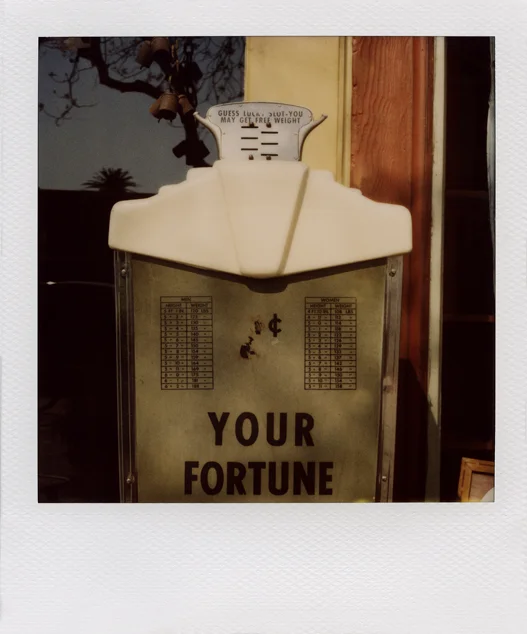 PatSansone_Polaroid_005b.jpg