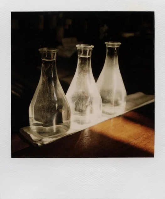 PatSansone_Polaroid_095a.jpg