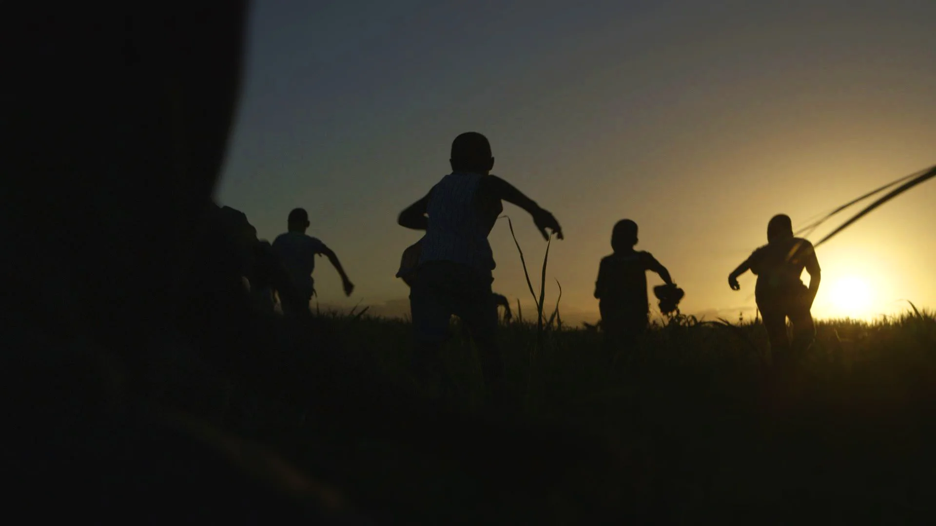 Hispaniola-Kids Run among Sugar Cane.jpg