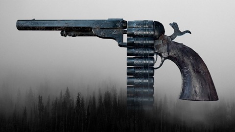 I think the weapons and the way the developers play around with them are pretty cool. Take this 17 round revolver for example.