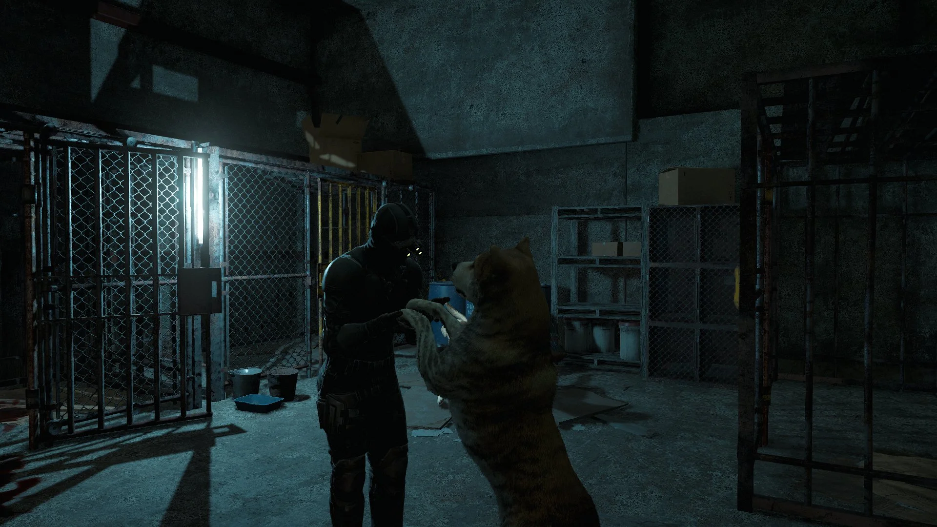 screenshot0027.jpg