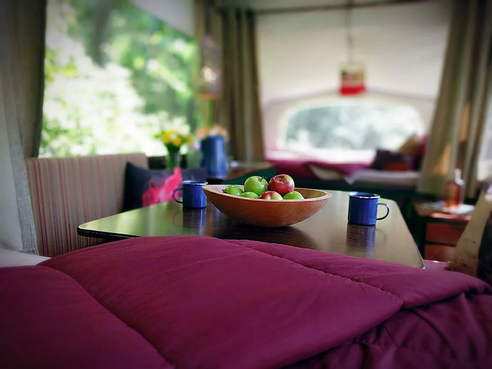 jackson-interior05.jpg