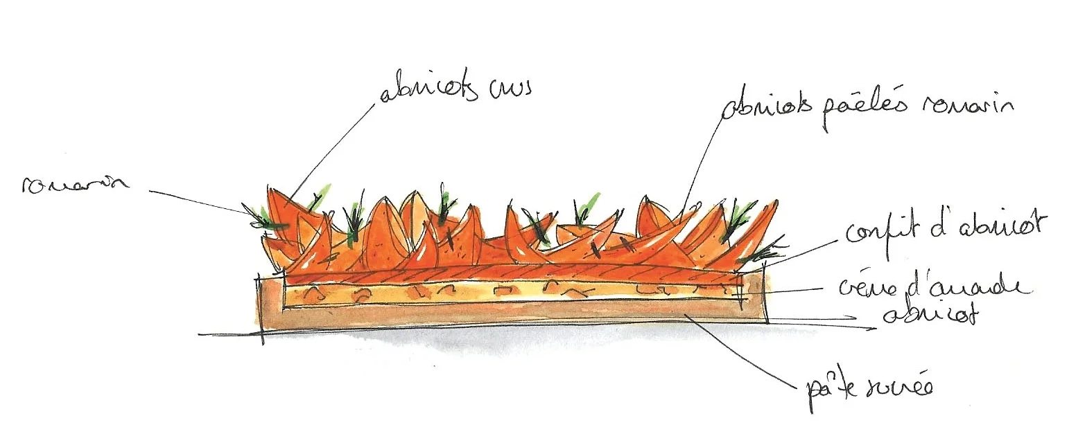 SKETCH-TARTEABRICOTS.jpg