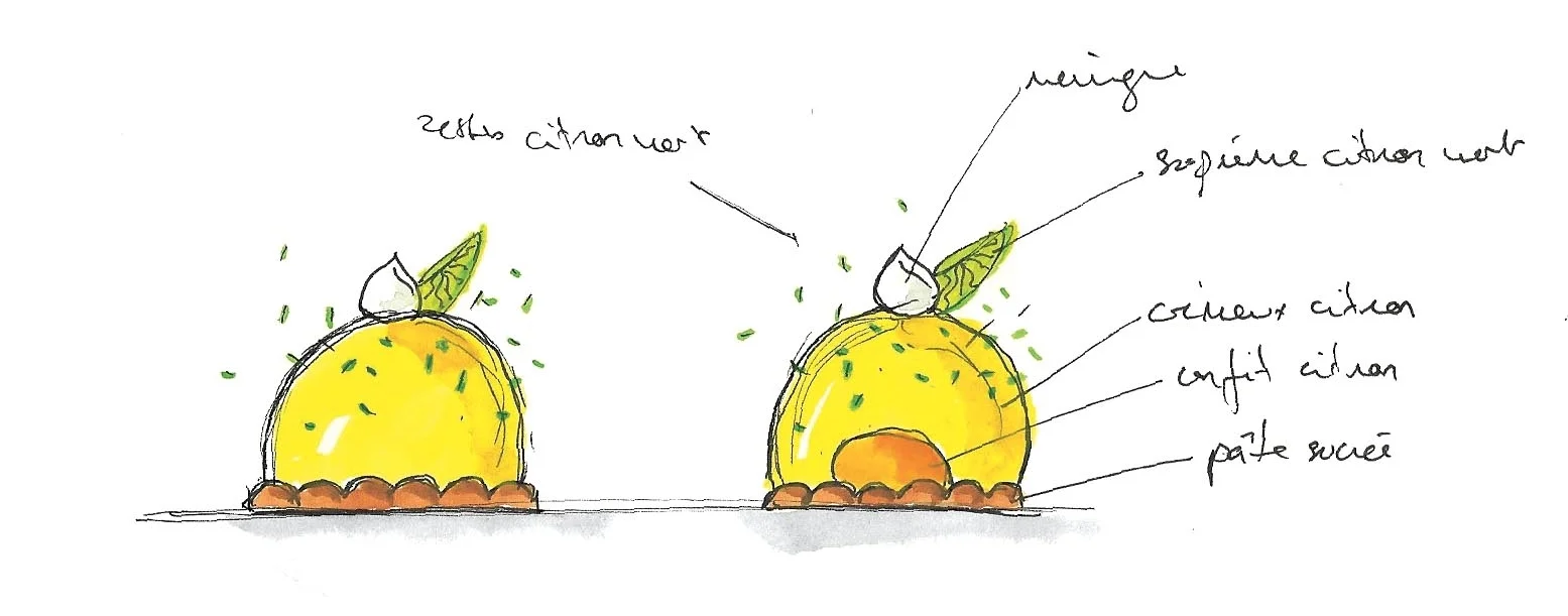 SKETCH-MIGNARDISECITRON.jpg