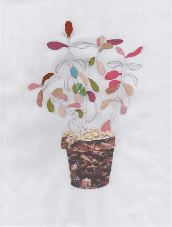 plant with pot and oats .jpeg