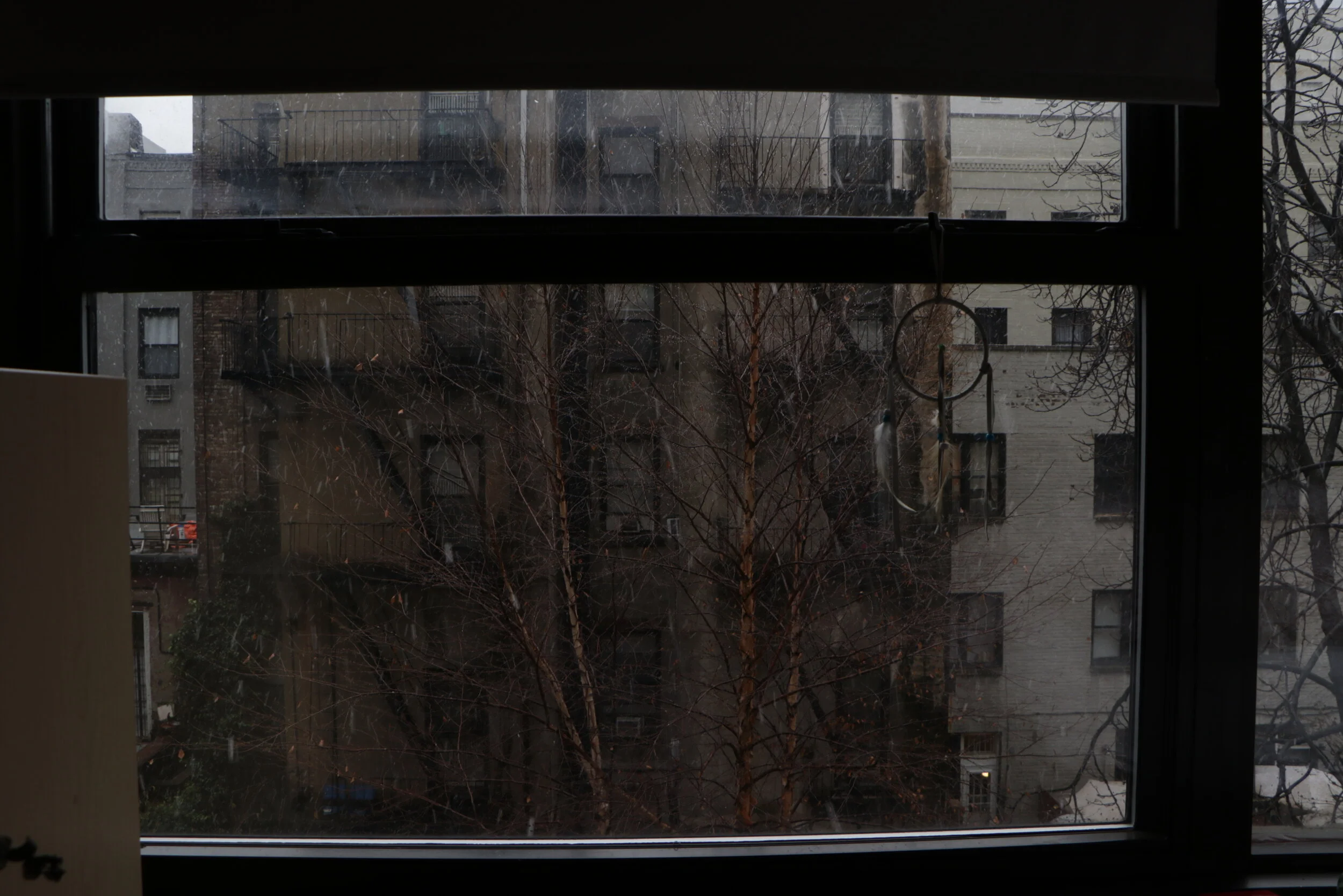 IMG_0033.JPG