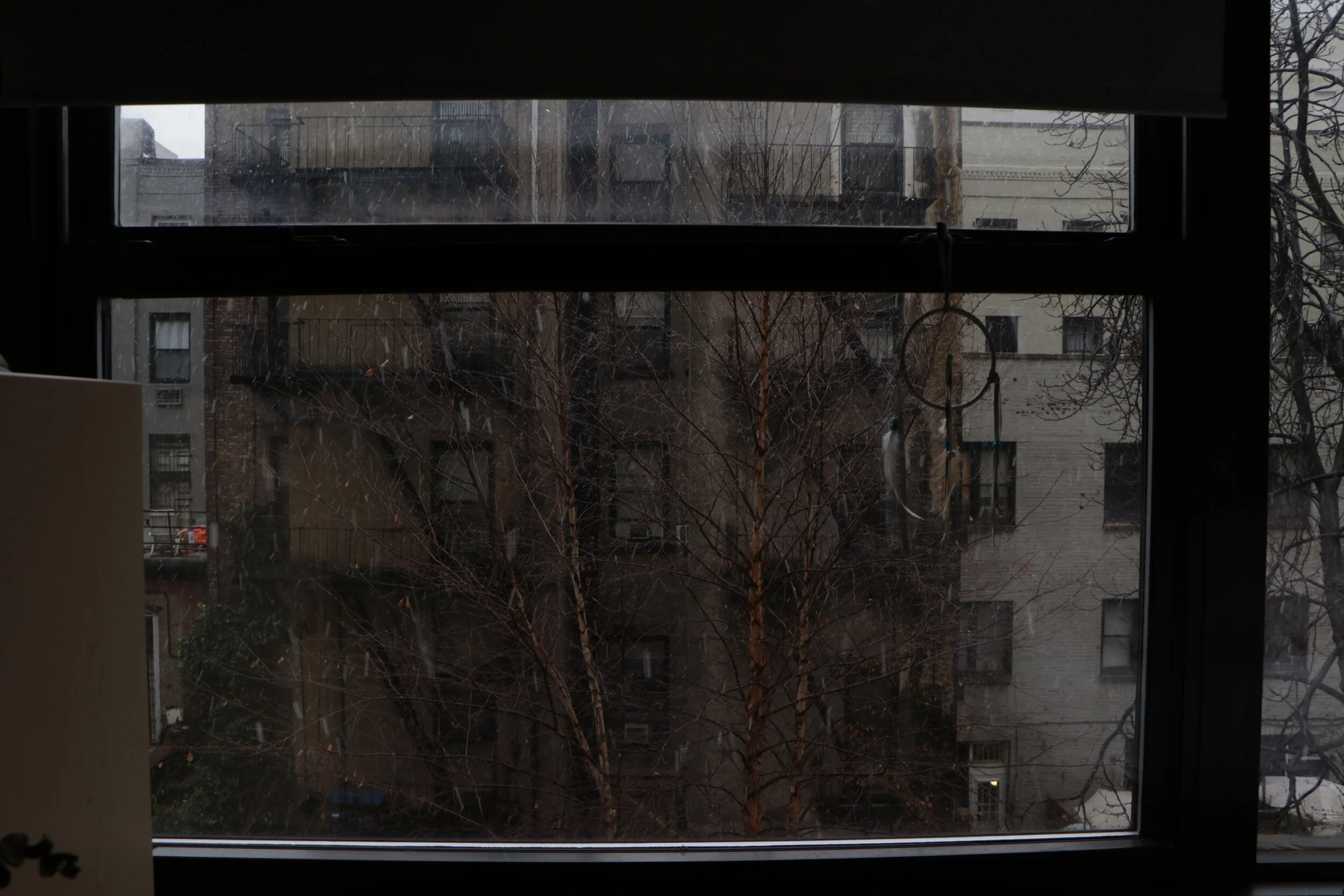 IMG_0037.JPG