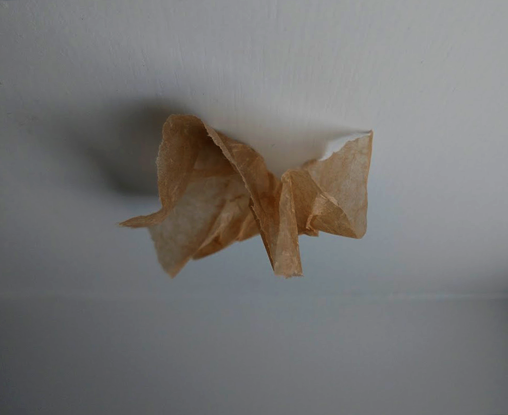 2021_02_07_tissue_paper_model_front_view_upside_down.png