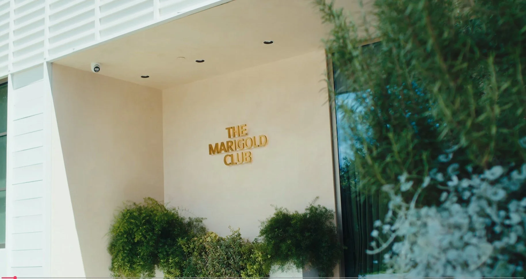 Screenshot 2026-01-08 120101.jpg