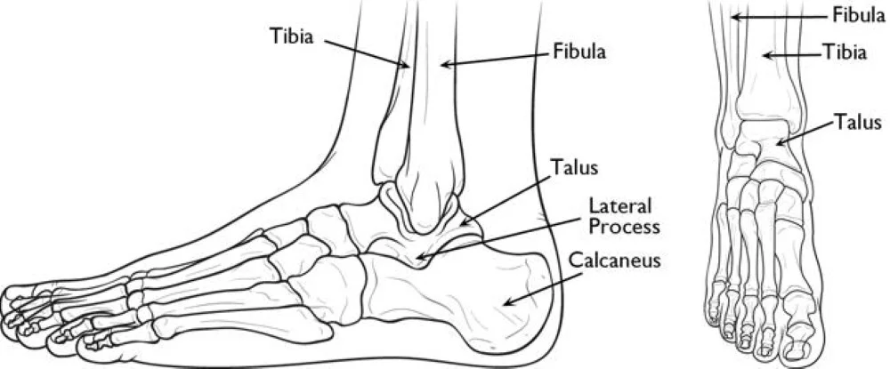 a00170f01_copy.jpg