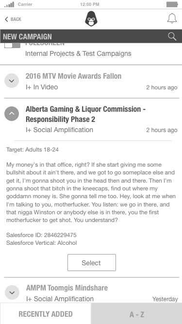 Manager expands a description and selects the opportunity.