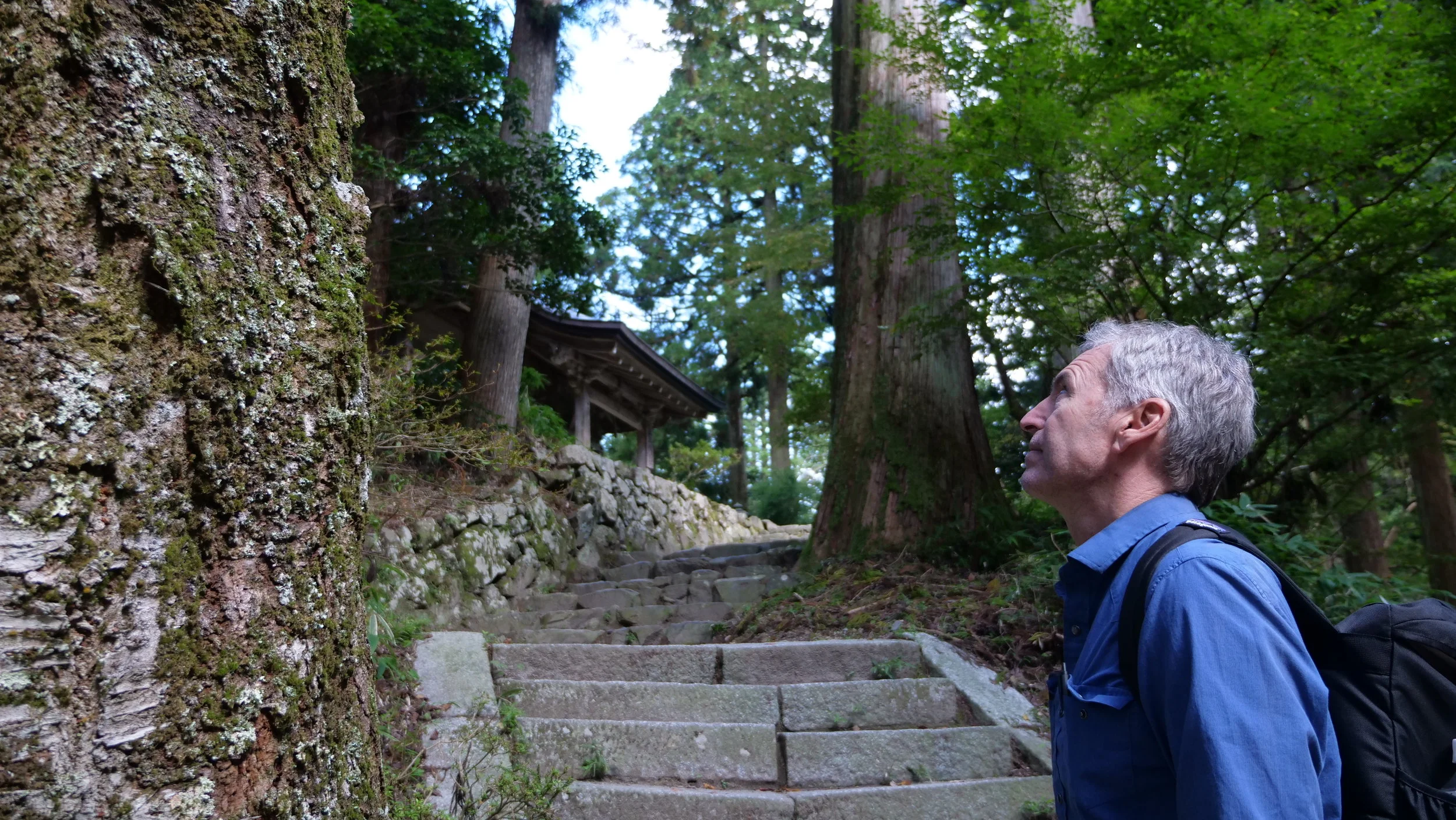 P1033165.JPG